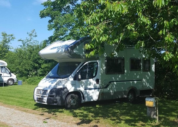 Bungalows en Camping Het Groene Hart — Camping in Ternaard / Friesland