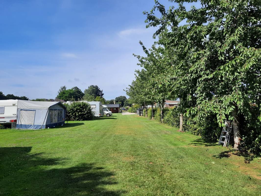 Camping Musselkanaal — Area da campeggio in Musselkanaal