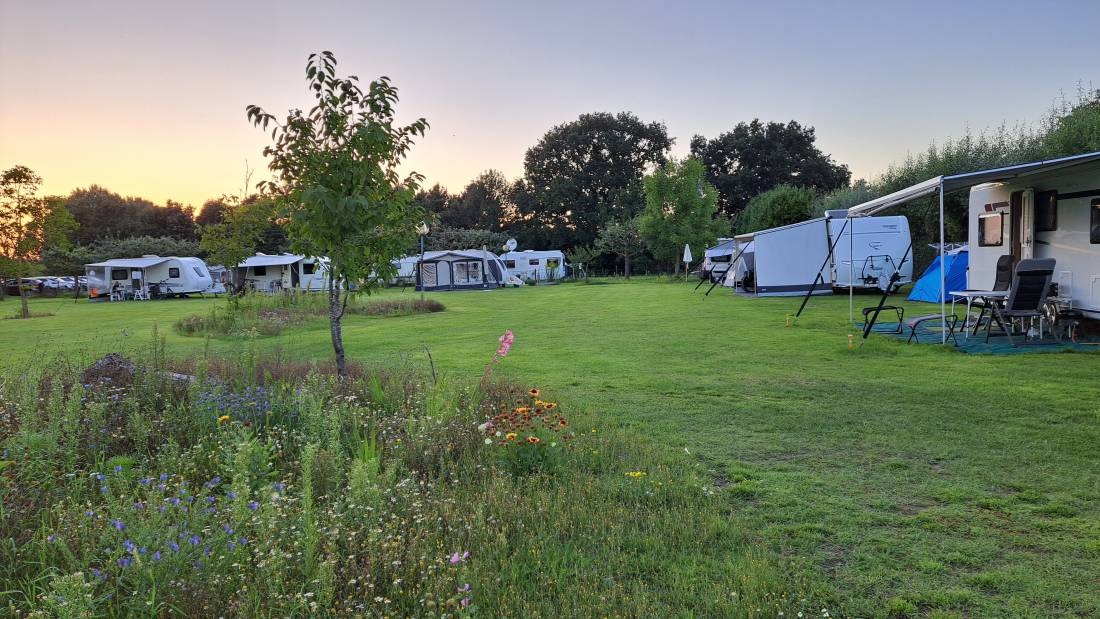 Minicamping Het Moasland — Camping in Balgoij / Gelderland