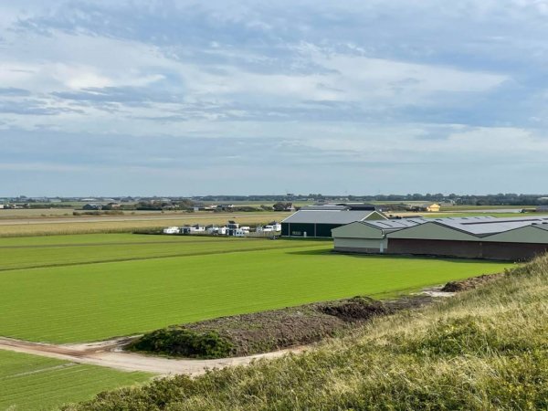 Camping Duinzoomhoeve — Photo 2