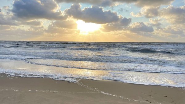 Camping Duinzoomhoeve — Photo 5