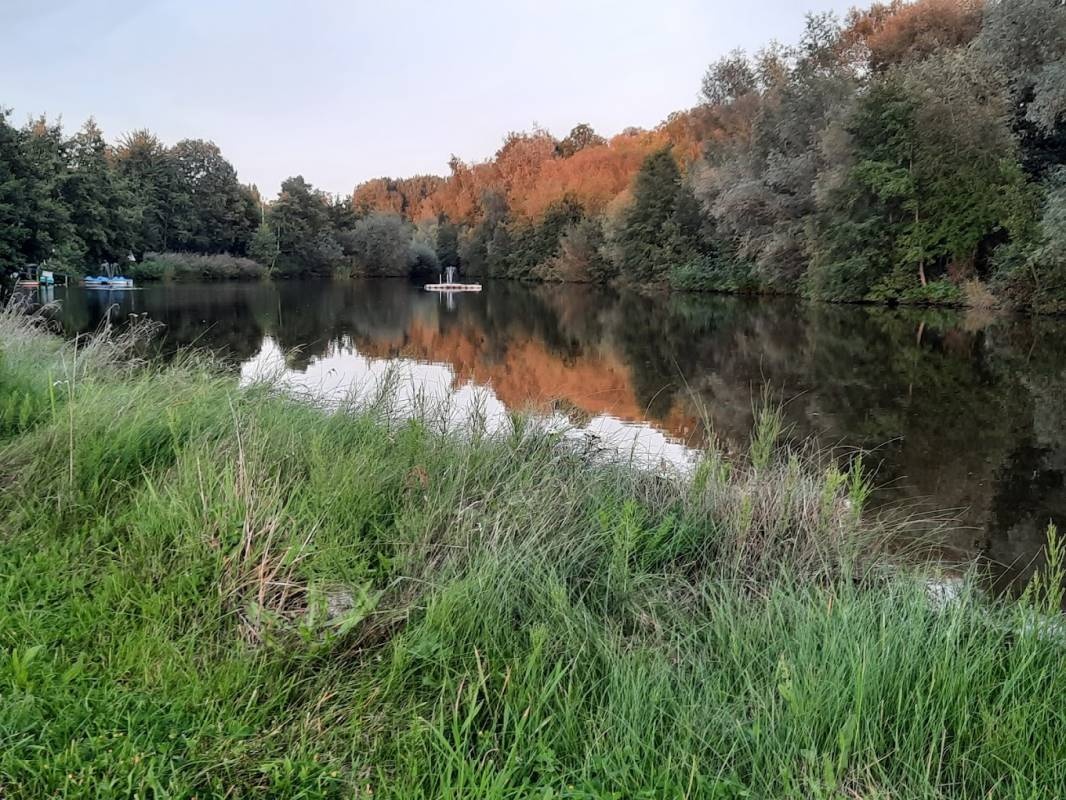 Camping Abtswoudsehoeve (FKK / naturist) — Area da campeggio in Delft
