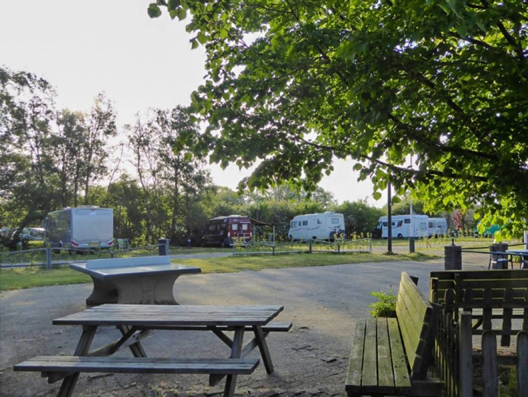 De Heidebloem Recreatie — Camping in Haarle