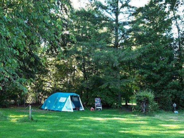 Natuurkampeerterrein Het Rhanerveld — Photo 2