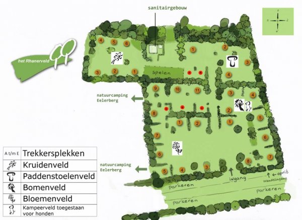 Natuurkampeerterrein Het Rhanerveld — Photo 3