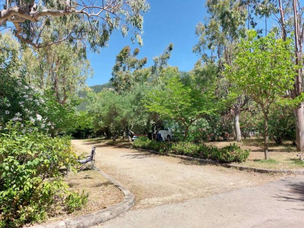 Camping Karavomilos Beach — Photo 4