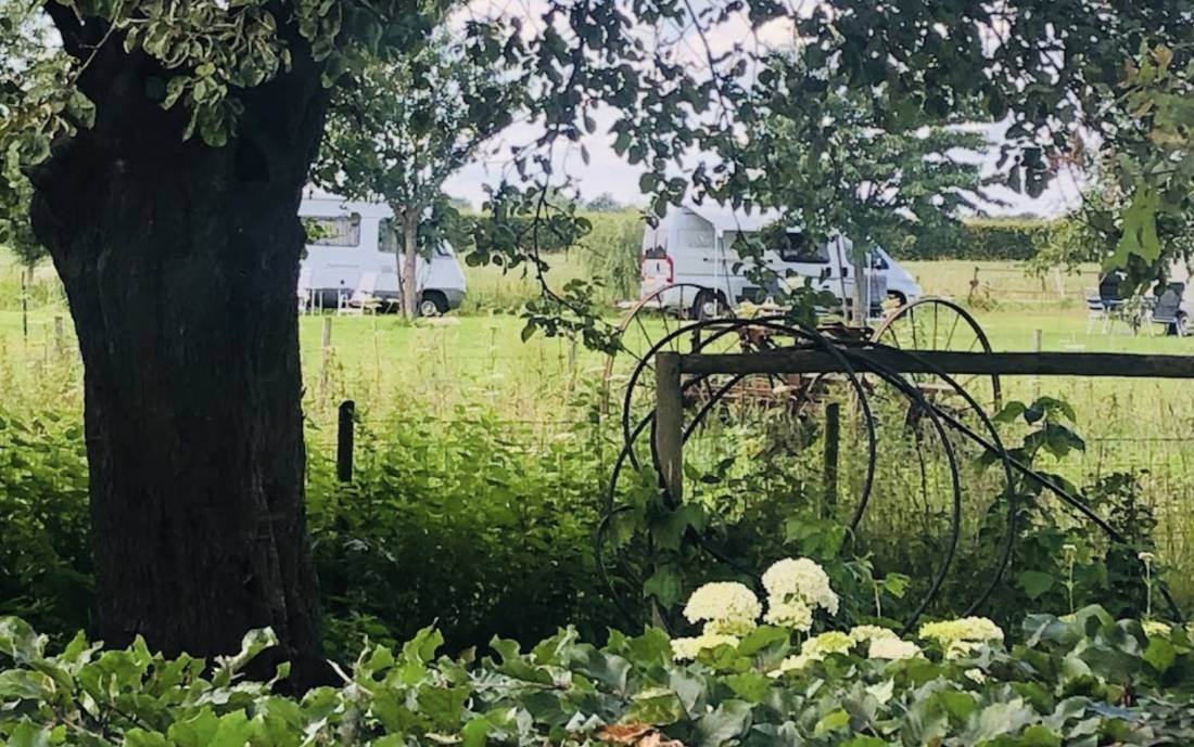 Minicamping Graaff en Woerd — Campingplads in Zoelen