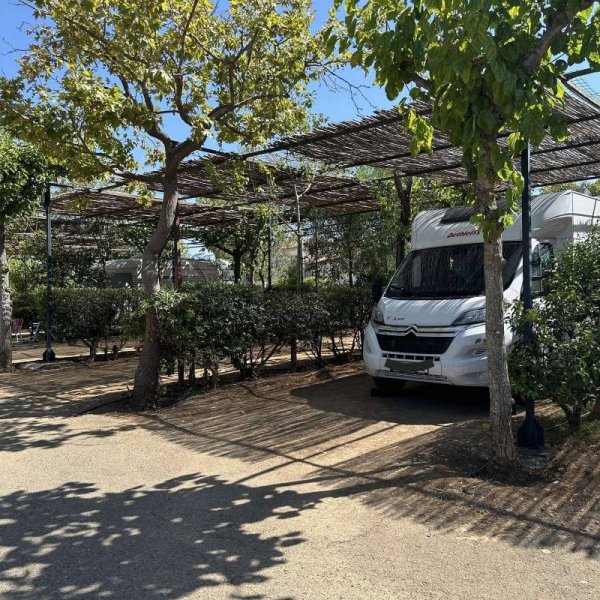 Camping Alfeios — Foto 3