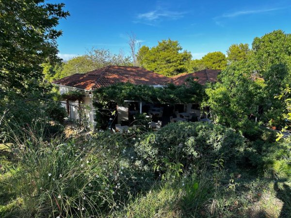 Camping Alfeios — Photo 5