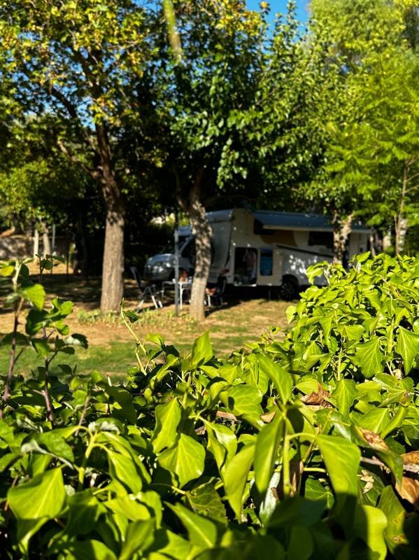 Camping Alfeios — Photo 2