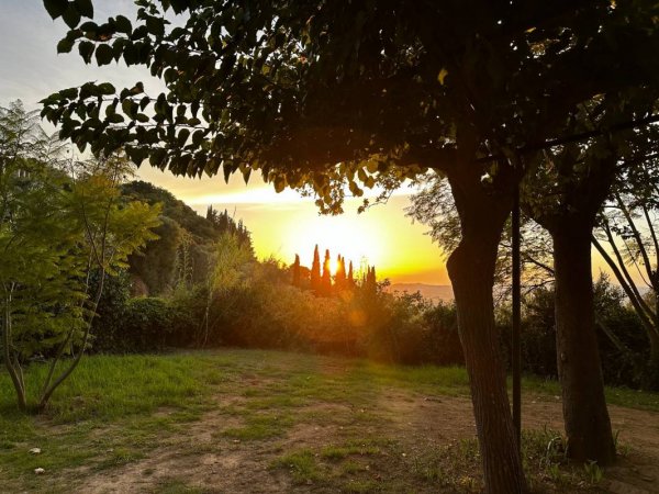 Camping Alfeios — Photo 4
