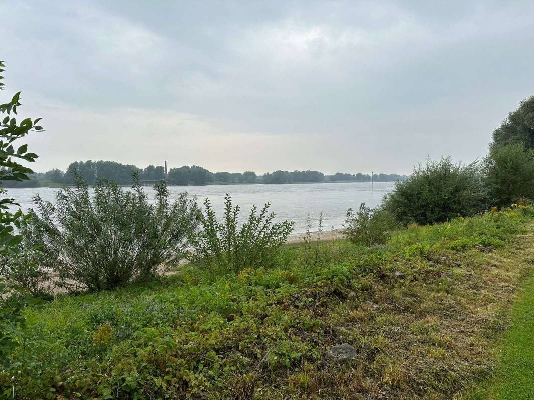 Camping De Grote Altena — Campingplatz in Oosterhout