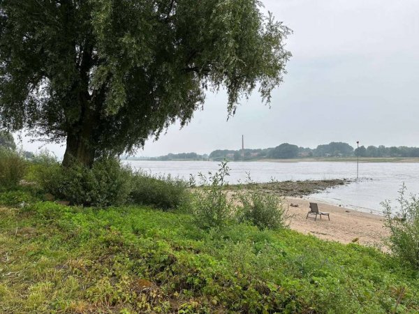 Camping De Grote Altena — Foto 2