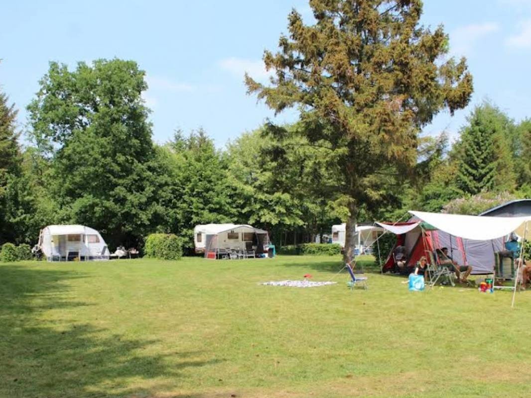 Natuurcamping Eelerberg — Camping in Hellendoorn