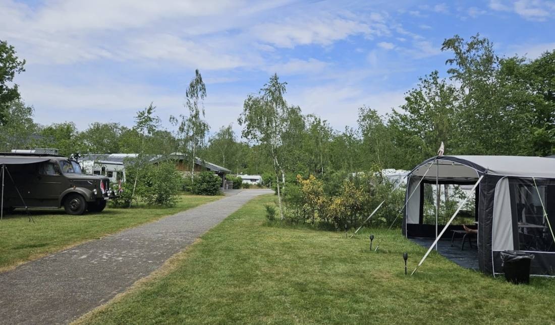 Camping de Berken — Campingplatz in Gasselte / Drenthe