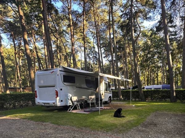 Goolderheide — Photo 2