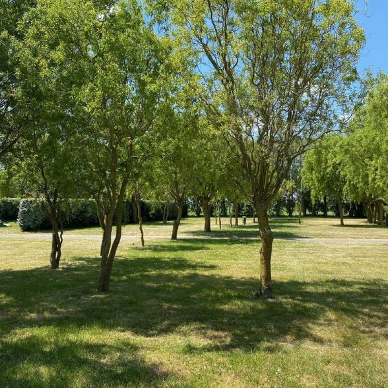 Kindervreugde — Campingplatz in Adinkerke/De Panne / Vlaanderen