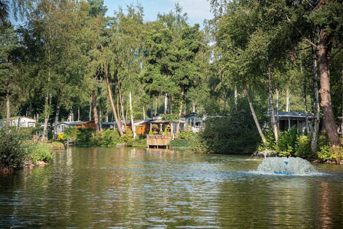 Zavelbos — Camping in Maaseik