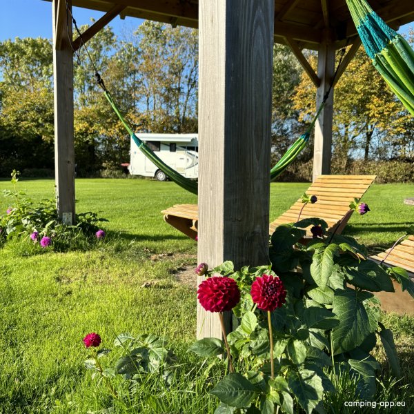 Minicamping & Kloostertuin Werendijke — Foto 6