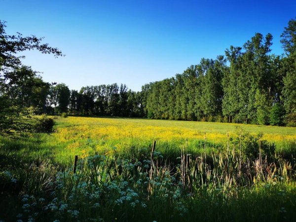 Provinciaal Domein De Gavers Geraardsbergen — Foto 3