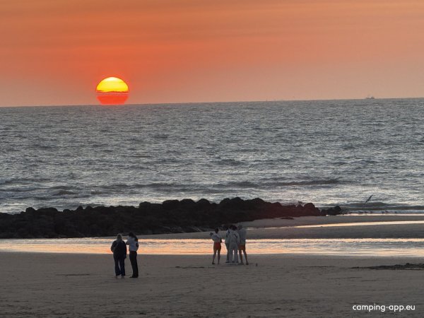 Camping Warande — Foto 4