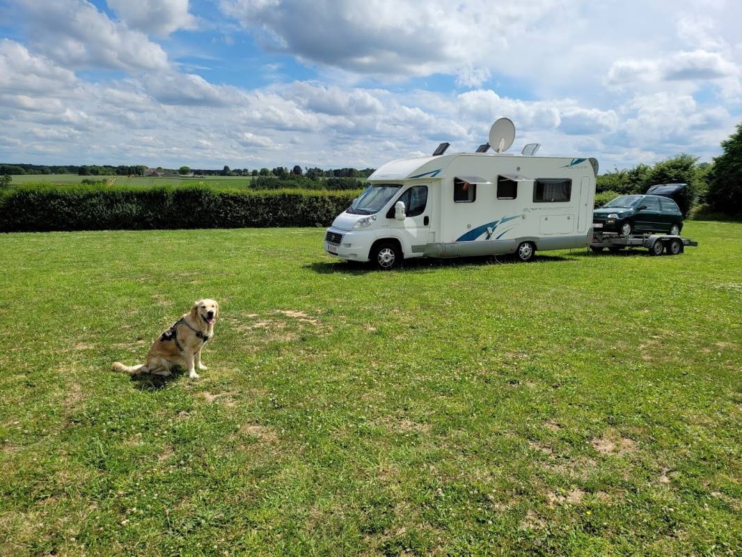 Camping Druivenland — Kemp in Overijse