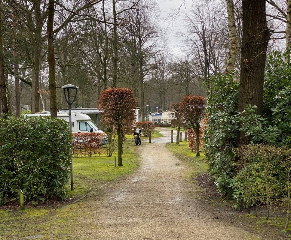 Floreal Het Veen — Kemp in Brecht