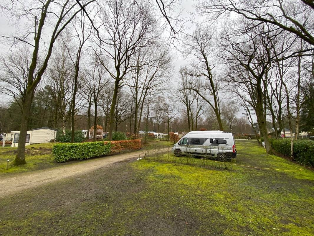 Floreal Het Veen — Campingplass in Brecht