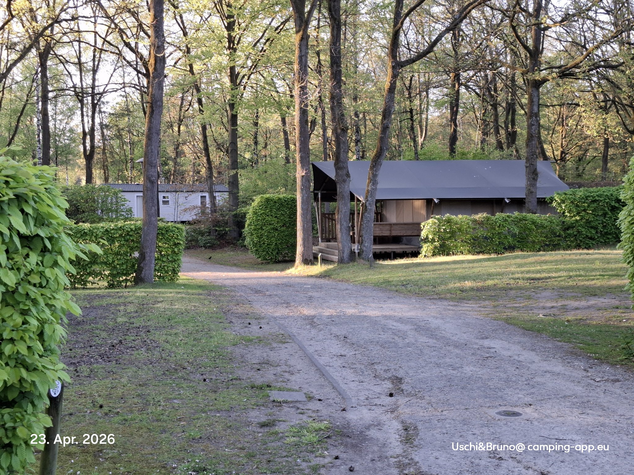 Floreal Het Veen — Photo 3
