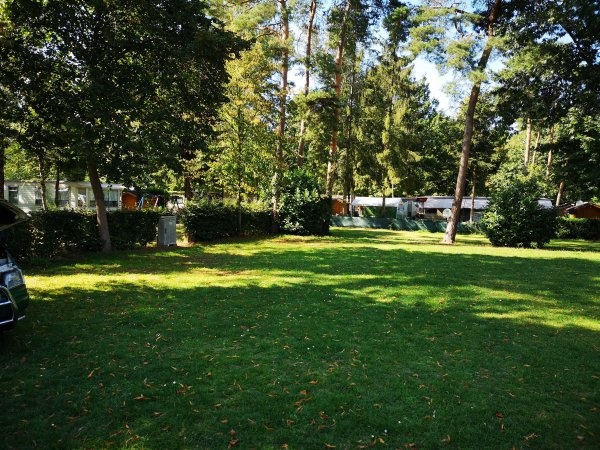 Den Boskant — Kamp yeri in Olen / Vlaanderen