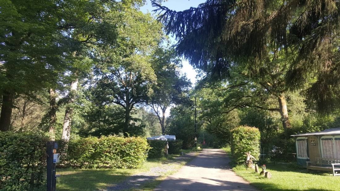 Camping International AG — Campingplatz in Burg-Reuland