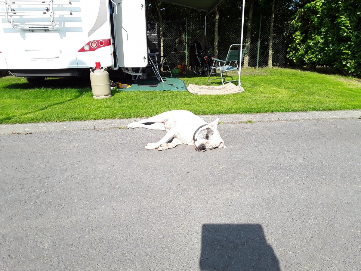 Camping De L'Orient — Campingplatz in Tournai / Wallonie