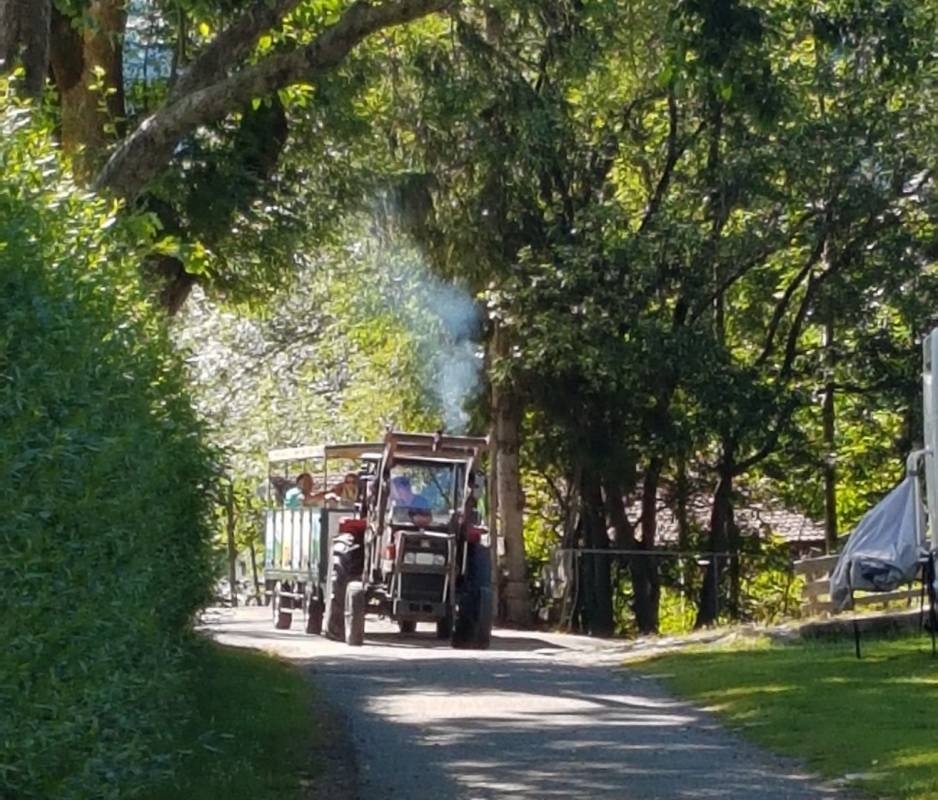 Terrassencamping Maltatal — Campingplatz in Maltatal / Kärnten