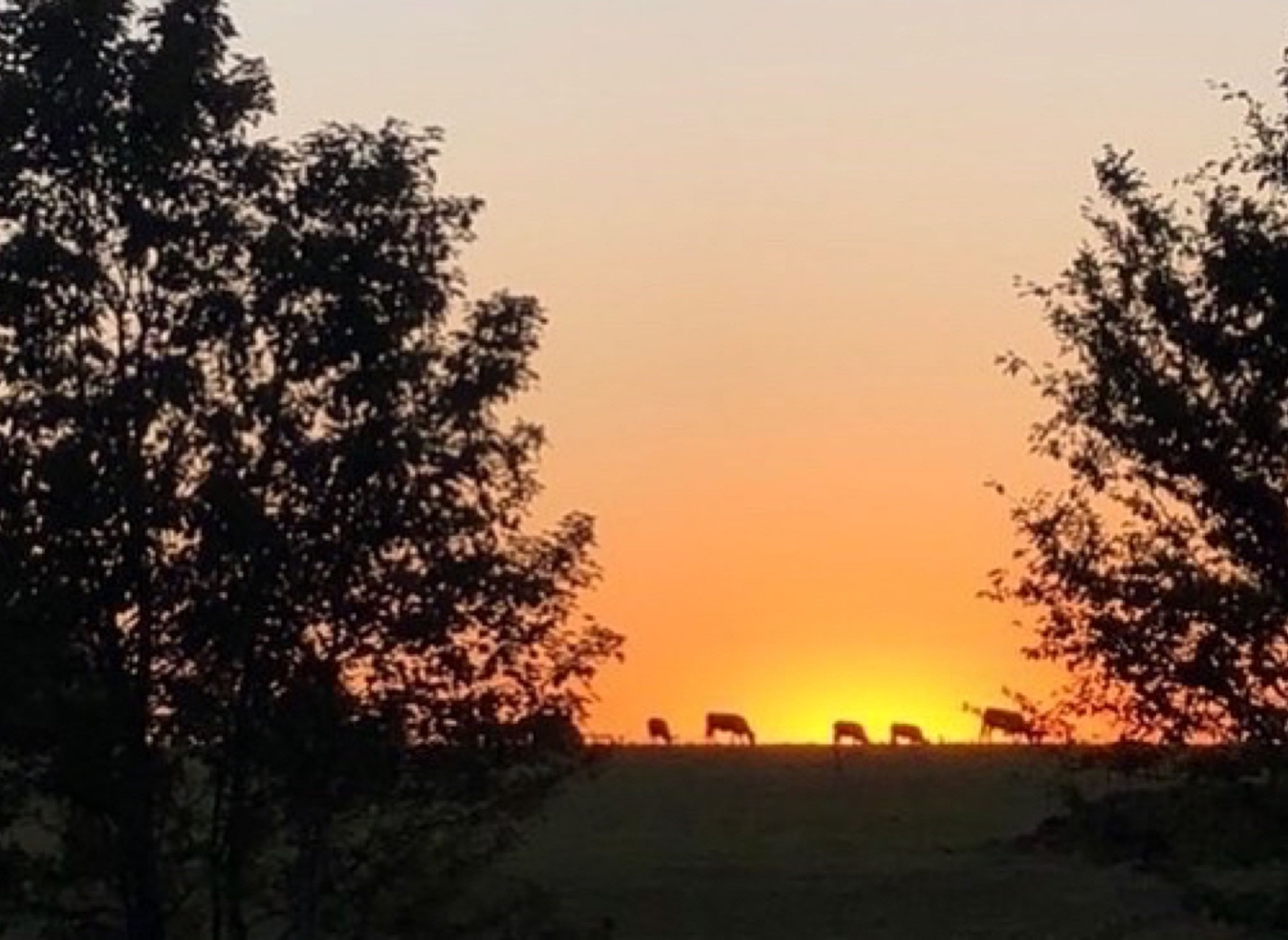 Camping à la ferme Klein Rost — Area da campeggio in Gouvy