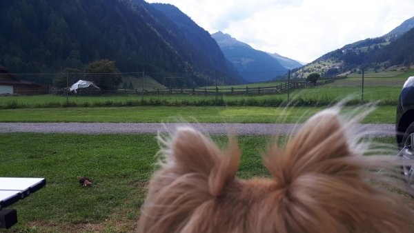 Camping Ramsbacher — Campingplatz in Gries