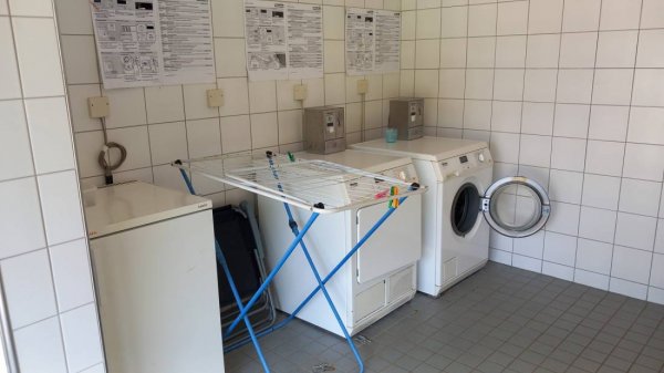 Donaucamping Grein — Photo 4