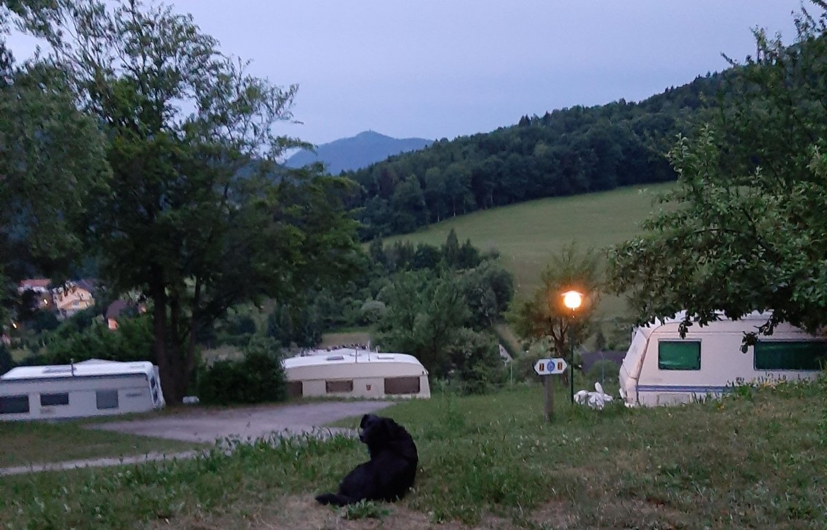 Terrassen Camping Traisen — Campingplatz in Traisen / Niederösterreich