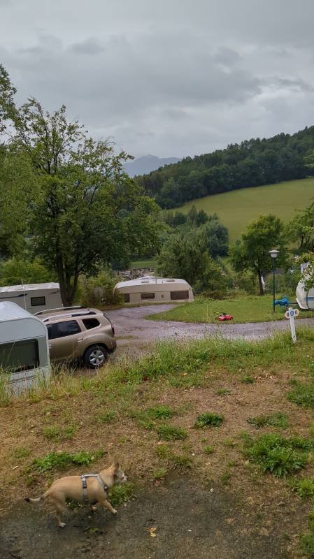 Terrassen Camping Traisen — Photo 3