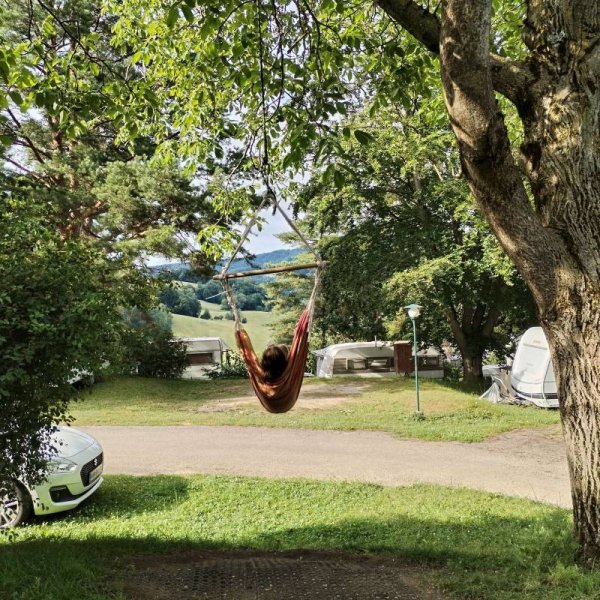 Terrassen Camping Traisen — Foto 4