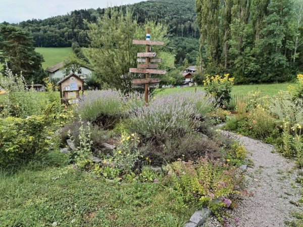 Terrassen Camping Traisen — Foto 3