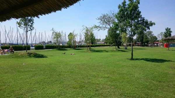 Storchencamp Rust — Photo 2