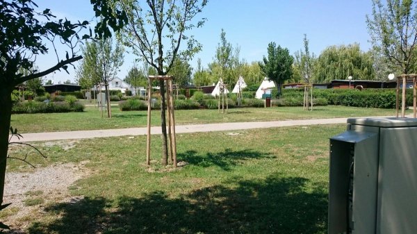 Storchencamp Rust — Photo 4