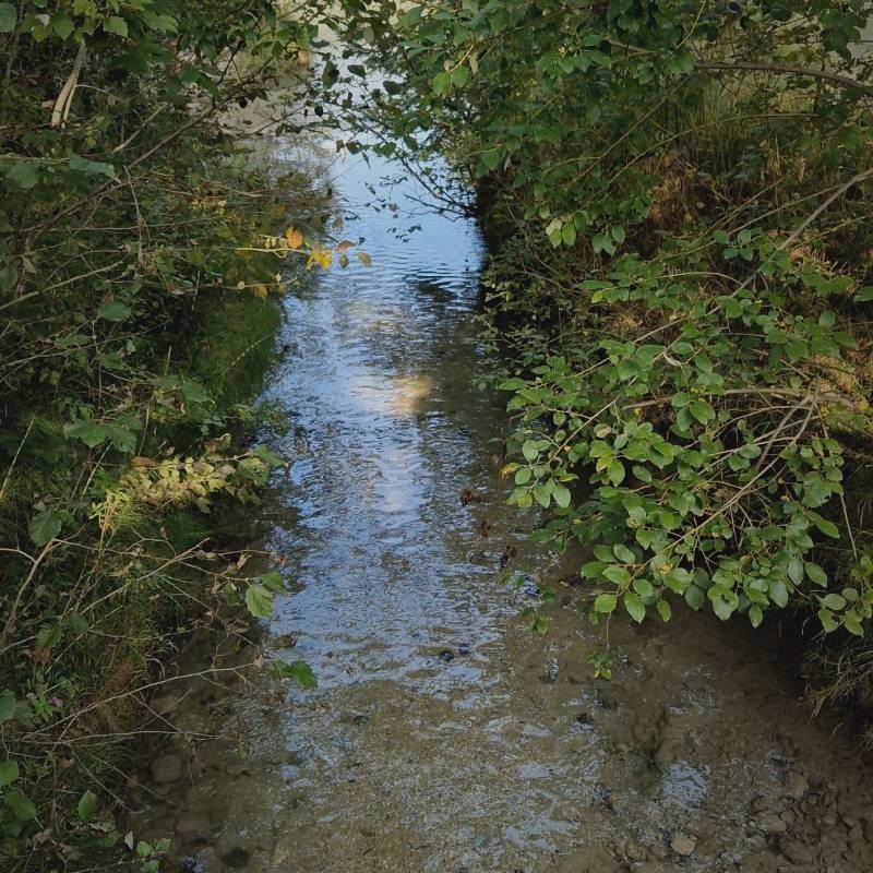 Campingplatz Rueppenhof — Cámping in Vorderthiersee