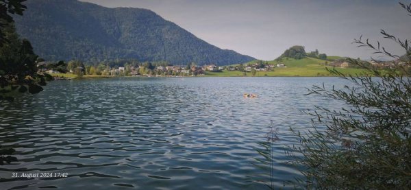 Campingplatz Rueppenhof — Photo 4