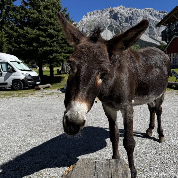 Ramsau-Beach-Camping — Photo 3