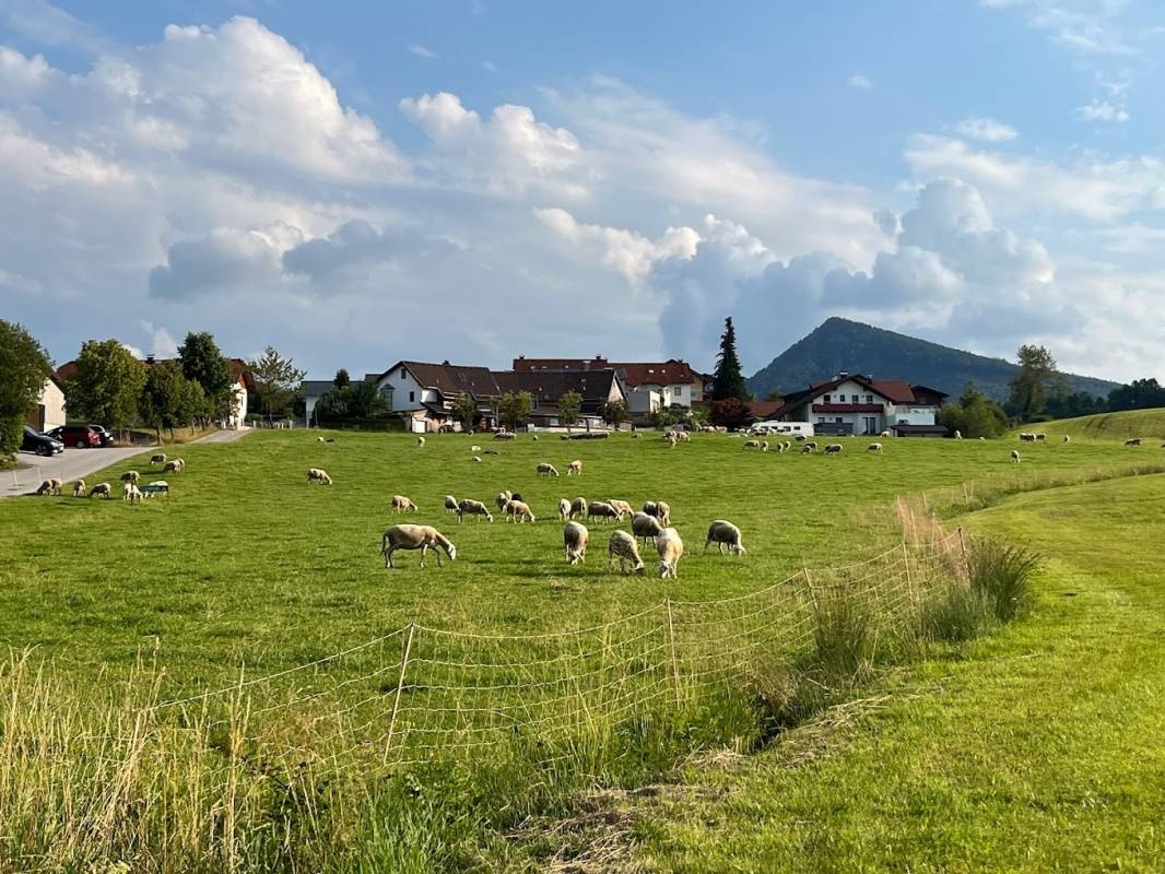Camping Huberbauer - Camp 24 — Area da campeggio in Koppl