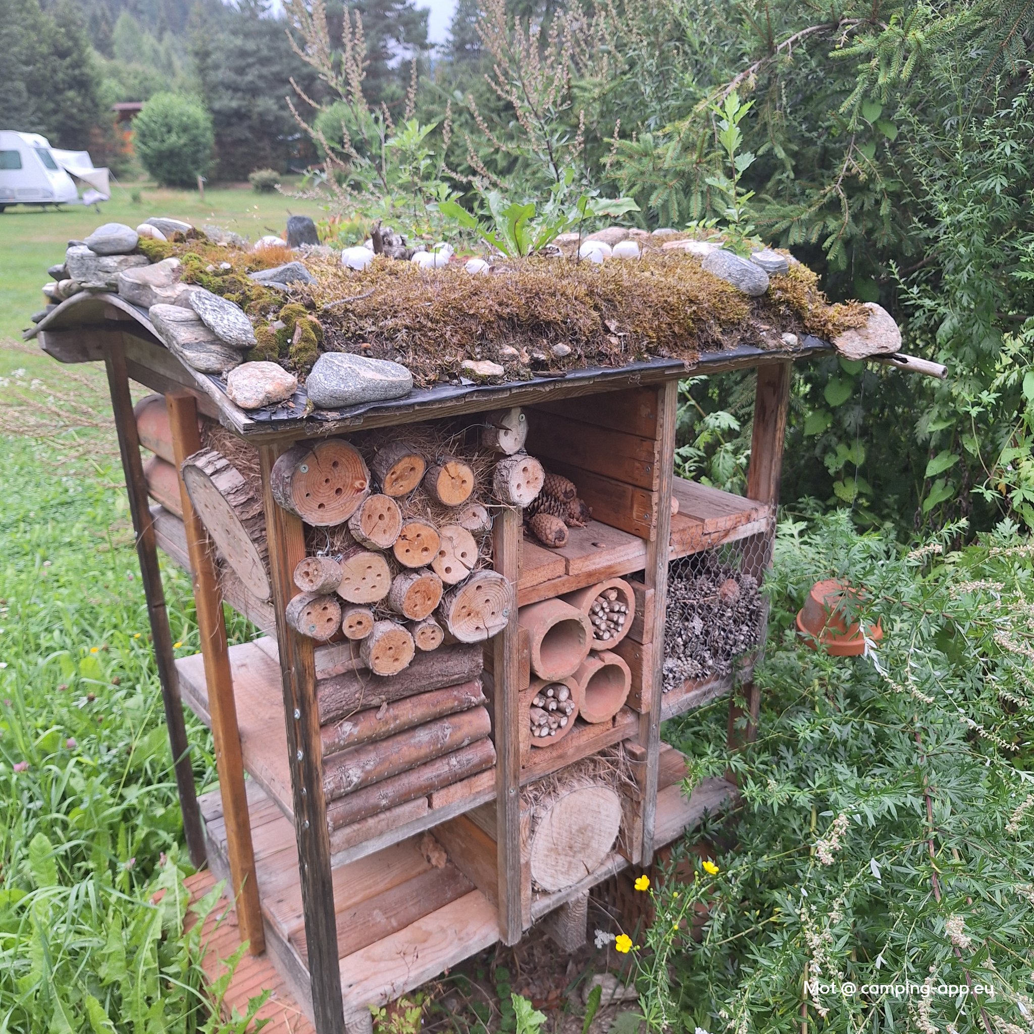 Camping Hirschegg — Foto 2