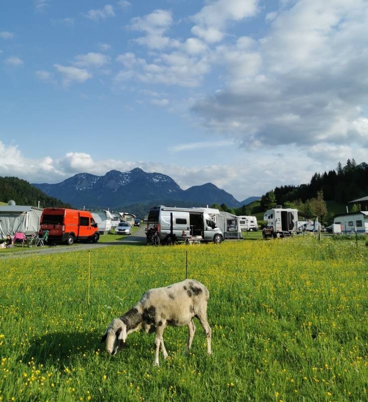 Campingplatz Maurerhäusl — Campingplatz in Hochfilzen / Tirol