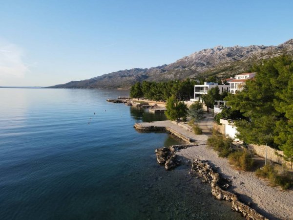 Pansion Michael — Photo 2