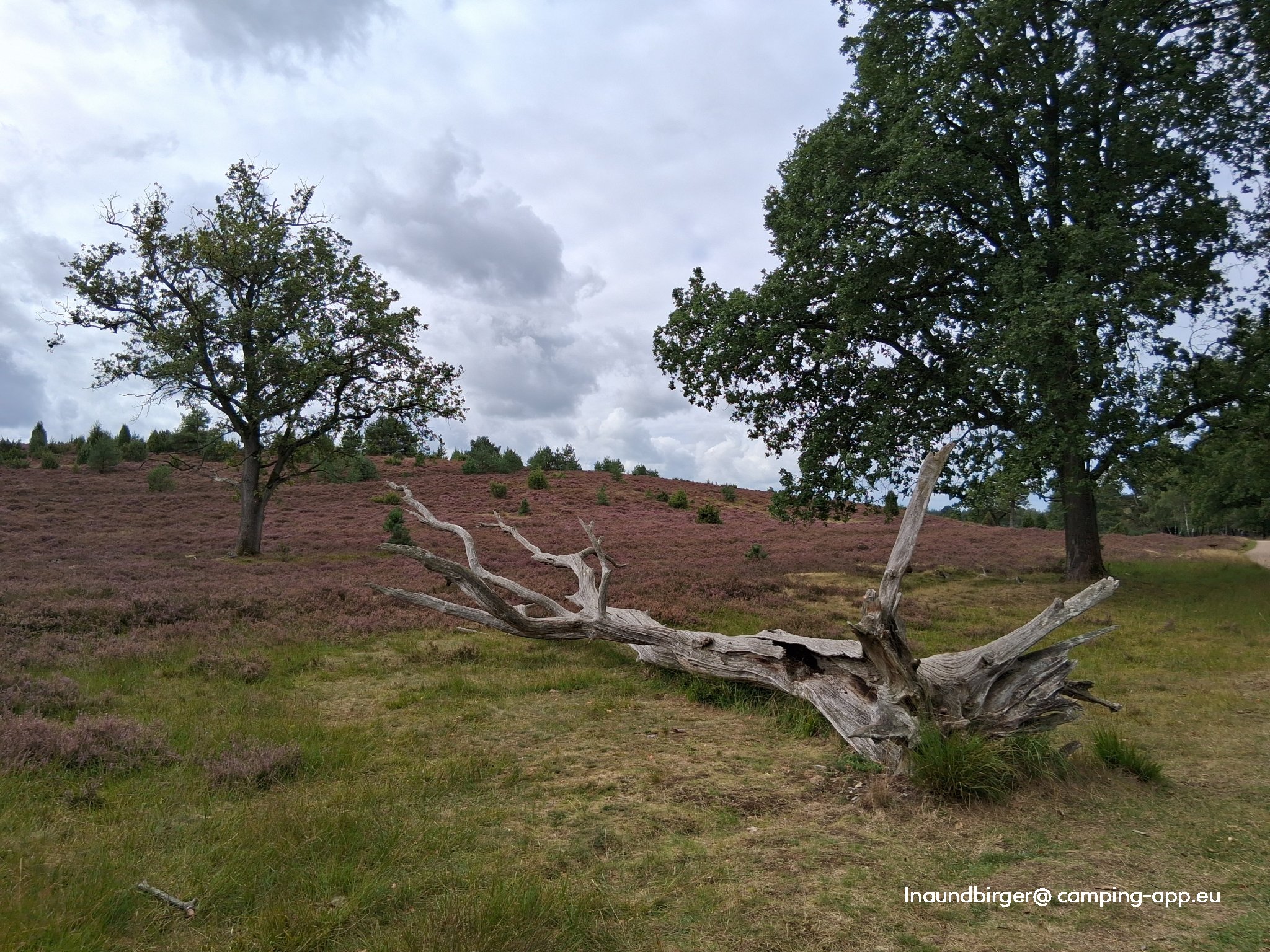 Stellplatz am Naturschutzpark Bispingen — Foto 4